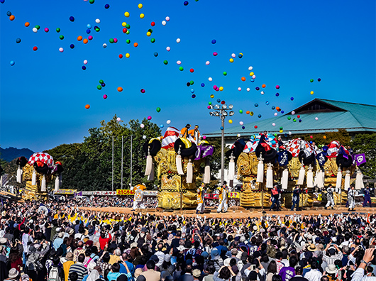 祭礼工房　山本 山本　敢大